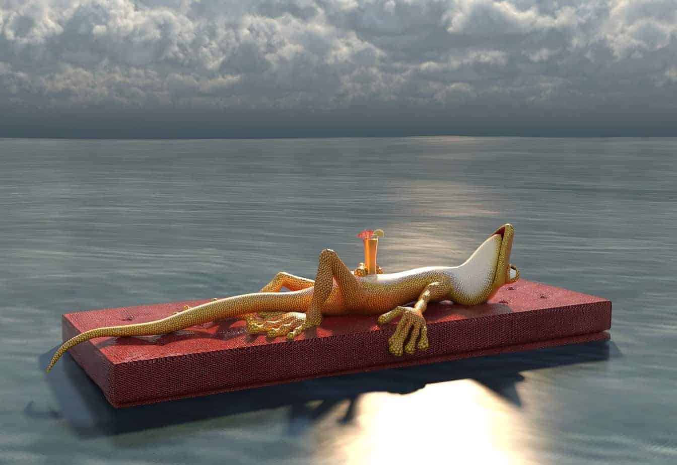 Frosch, See, Ausruhen, Wolken, Getränk, Relaxen, Luftmatratze, Feiertag, Tag der Arbeit